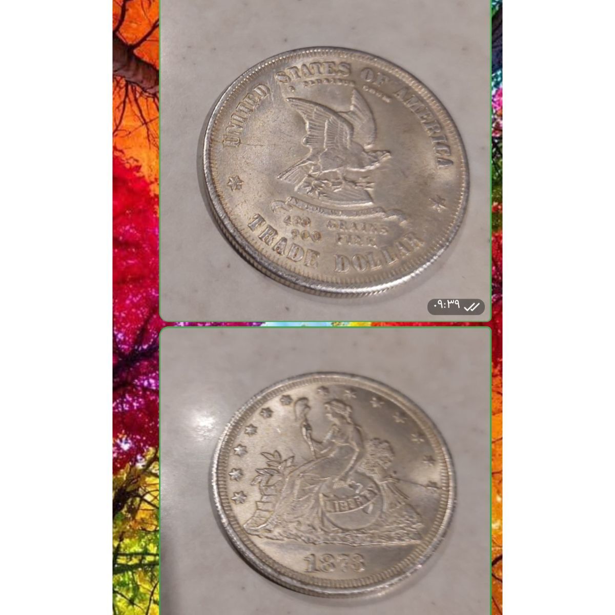 قیمت سکه دلار 1873