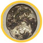 سکه نقره قدیمی