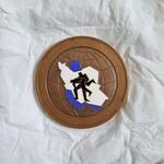 مدال کشتی سال ۱۳۳۸