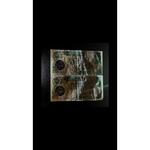 اسکناس 10000 ریال بارگاهی