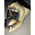 نام این شبیه سنگ چیست 