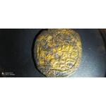 قدمت و دوره سکه