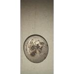 سکه های مخدوش نقره