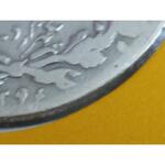 تاریخ هزار دینار ناصری