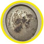 شناسایی سکه های چکشی سری 2