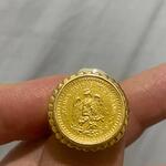 قیمت حدودی سکه طلای پزو