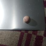 سنگ شناسی