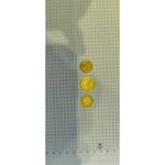 سکه های طلای عثمانی