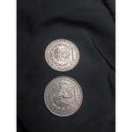 سکه یک دلار مورگان